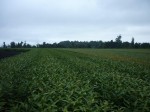 [21-04-2011 051.jpg]
